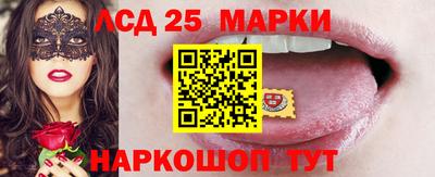 скорость Обнинск