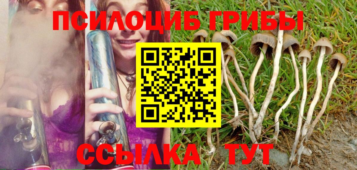 Рязань  закладки  Вход с VPN  Псилоцибиновые грибы MAGIC MUSHROOMS  Псилоцибиновые грибы мухоморы 